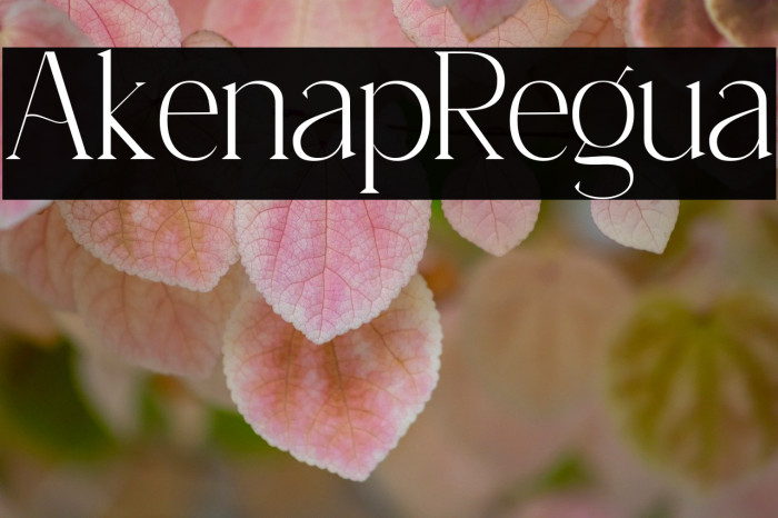 Aikenap Regular Example 3