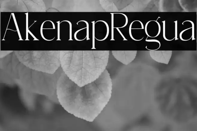 Aikenap Regular Example 3