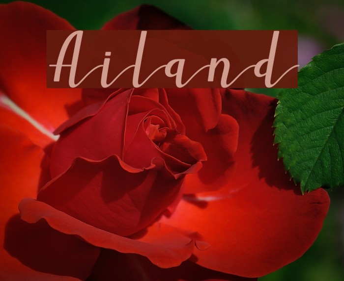 Ailand Font examples