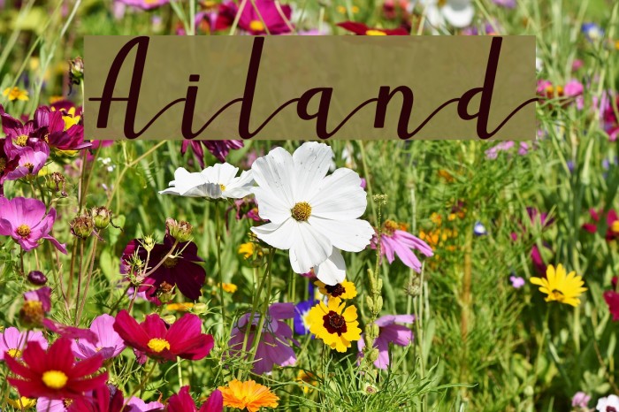 Ailand Font examples
