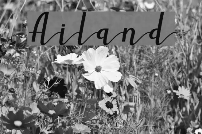 Ailand Example 3