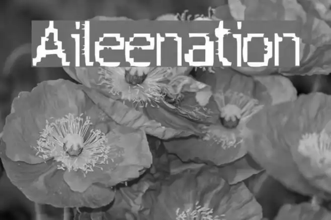 Aileenation Example 1