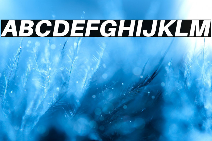 Aileron Black Italic Example 3