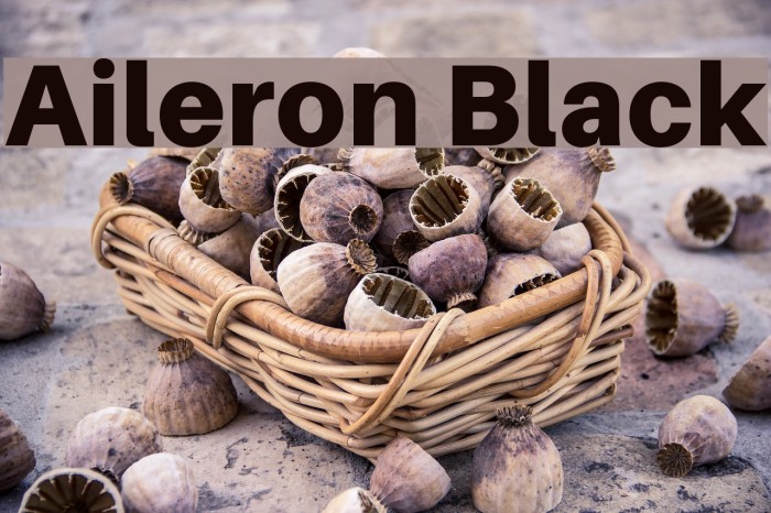 Aileron Black Font examples