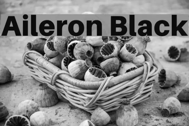 Aileron Black Font examples
