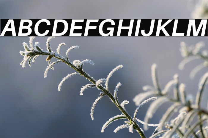 Aileron Bold Italic Example 2