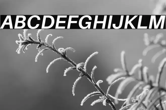 Aileron Bold Italic Font examples