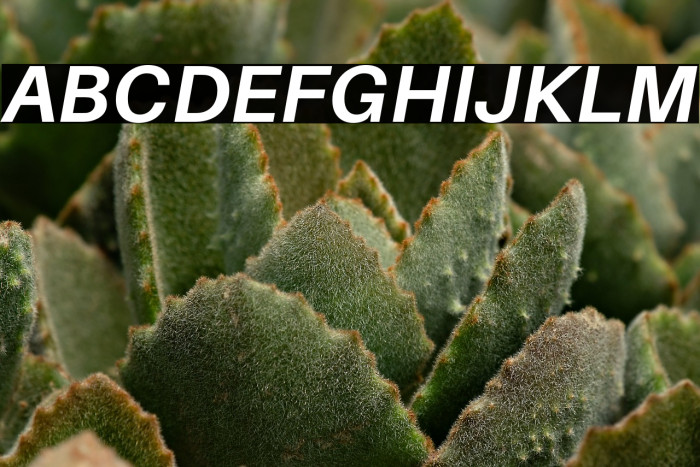 Aileron Bold Italic Example 3