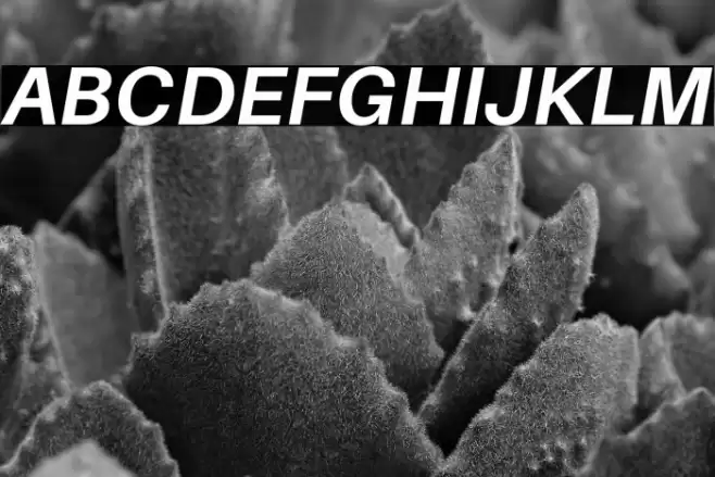 Aileron Bold Italic Font examples