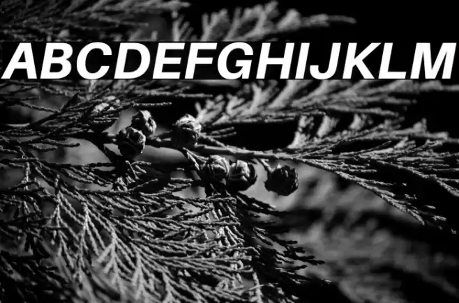 Aileron Heavy Italic Font examples