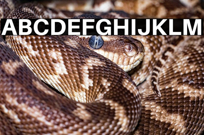 Aileron Heavy Example 2