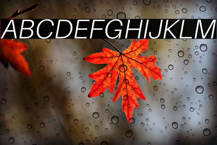 Aileron Light Italic Example 3