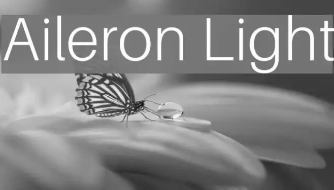 Aileron Light Example 2