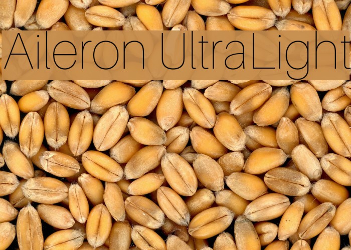 Aileron UltraLight Example 3