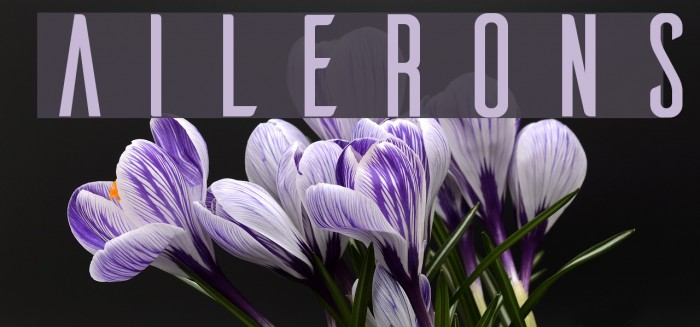 Ailerons Example 2