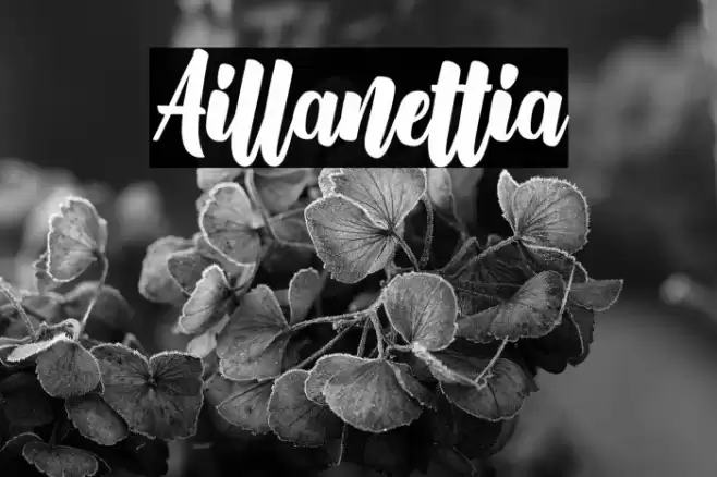 Aillanettia Font examples