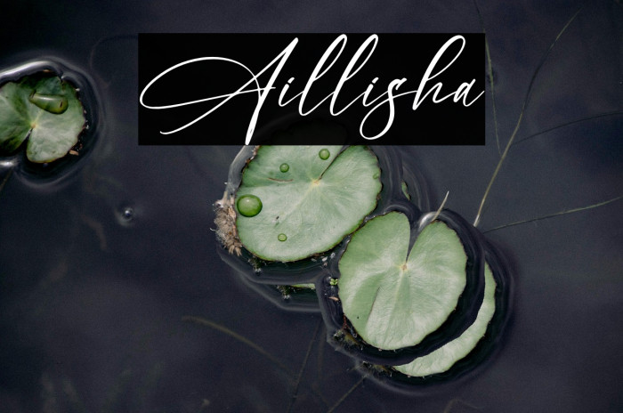 Aillisha Example 3
