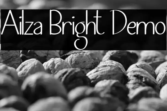 Ailza Bright Demo Polices examples