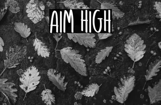 Aim High Font examples