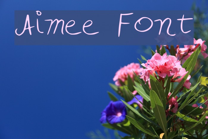 Aimee Font examples