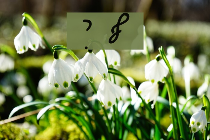 Ain Yiddishe Font Cursiv Example 2