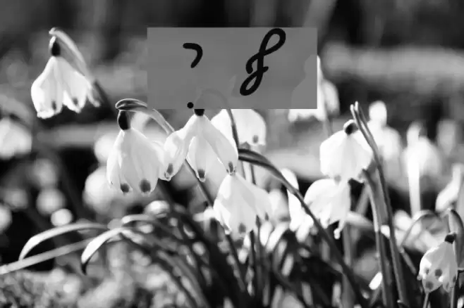 Ain Yiddishe Font Cursiv Font examples