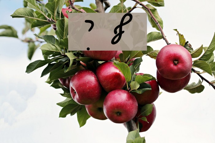 Ain Yiddishe Font Cursiv Example 3