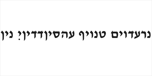 Ain Yiddishe Font Modern Logo