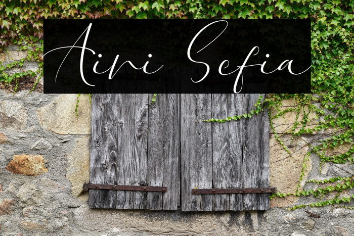 Aini Sefia Example 1