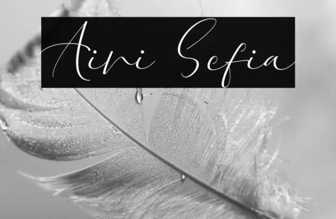 Aini Sefia Example 2