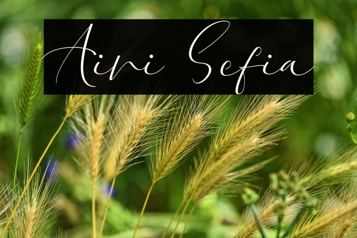 Aini Sefia Example 3