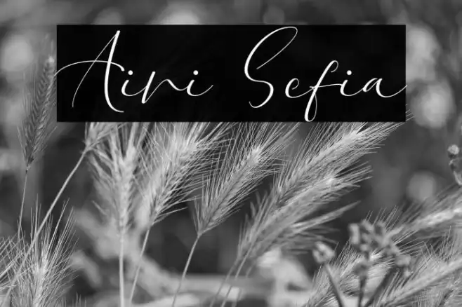 Aini Sefia Example 3