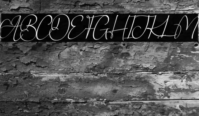 Ainsley Signature Caratteri examples