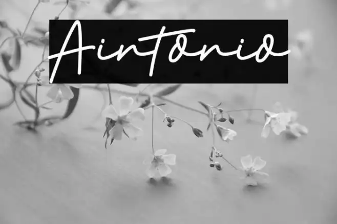Aintonio Example 2