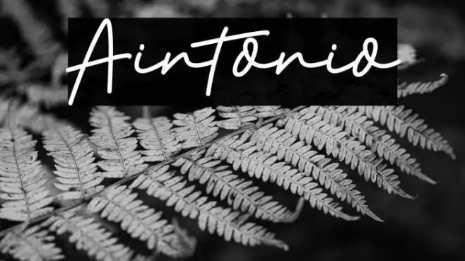 Aintonio Example 3