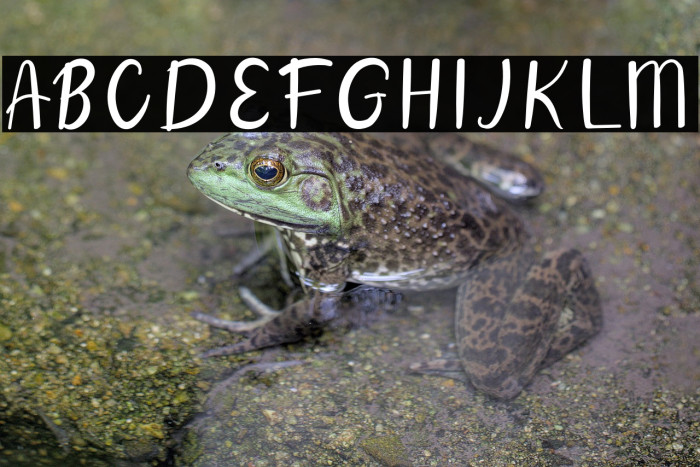 Aintya Beauty Example 1