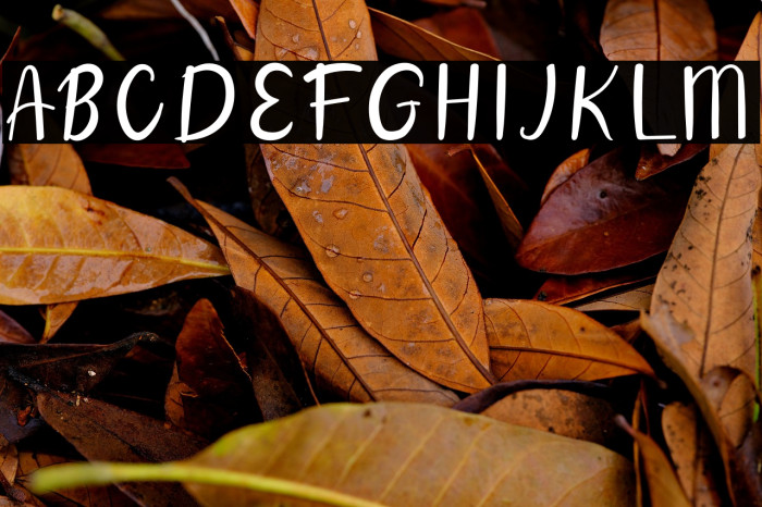 Aintya Beauty Example 2