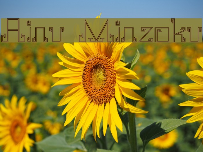 Ainu Minzoku Example 2