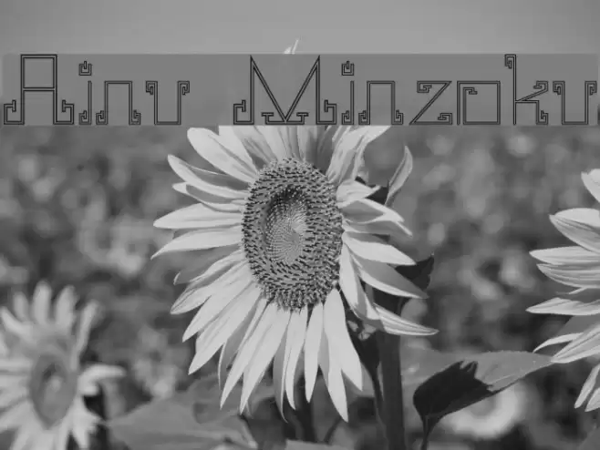 Ainu Minzoku Font examples