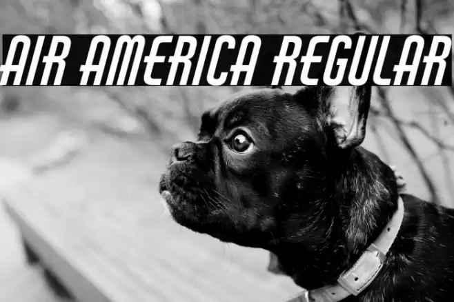 Air America Regular Font examples