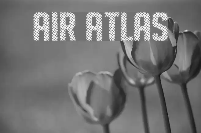 Air Atlas Example 1