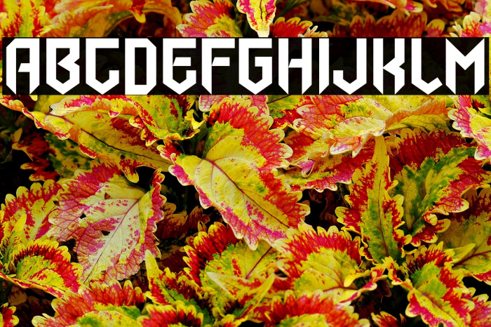 Air Flight Example 2