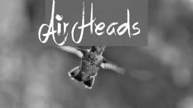 Air Heads Example 3