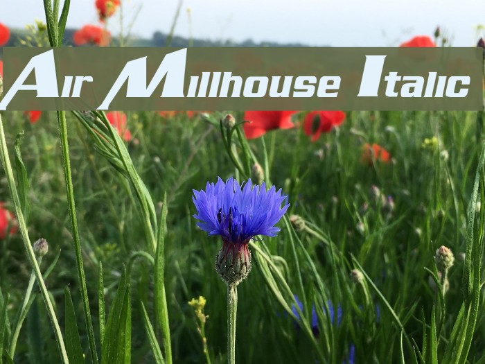 Air Millhouse Italic フォント examples