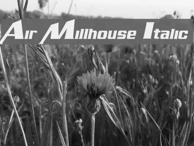Air Millhouse Italic Font examples