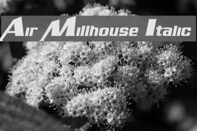 Air Millhouse Italic Font examples