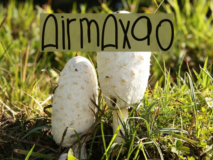 AirMax90 Font examples