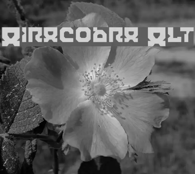 Airacobra Alt Font examples