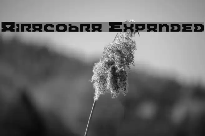 Airacobra Expanded फ़ॉन्ट examples