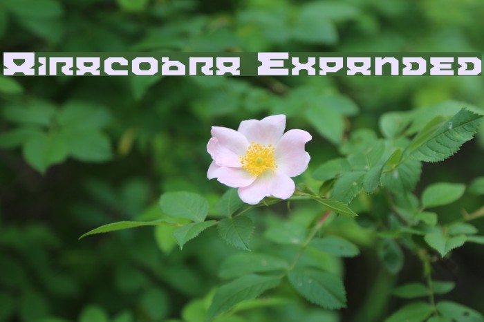 Airacobra Expanded Font examples